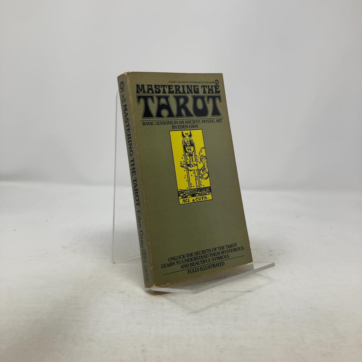 Amazon.co.jp: イーデン・グレイ: 本、バイオグラフィー、最新アップデート